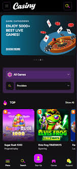 Discover the Thrills of Online Gaming at casiny1.com